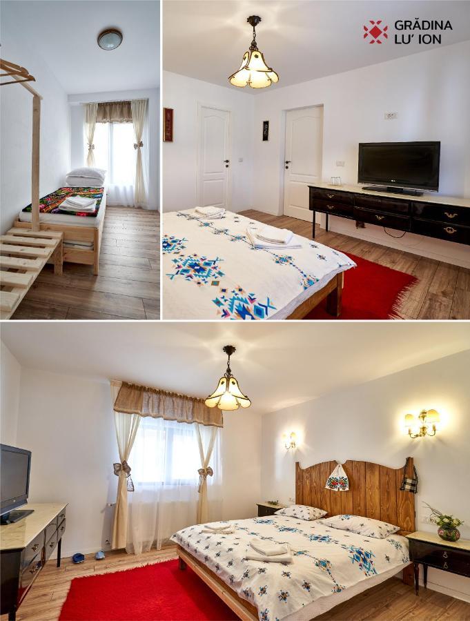 Gradina Lu' Ion "A Home Away From Home" (Adults Only) Vişeu de Sus エクステリア 写真
