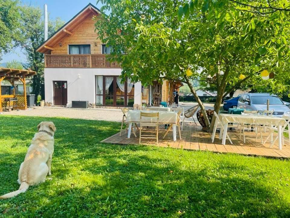 Gradina Lu' Ion "A Home Away From Home" (Adults Only) Vişeu de Sus エクステリア 写真