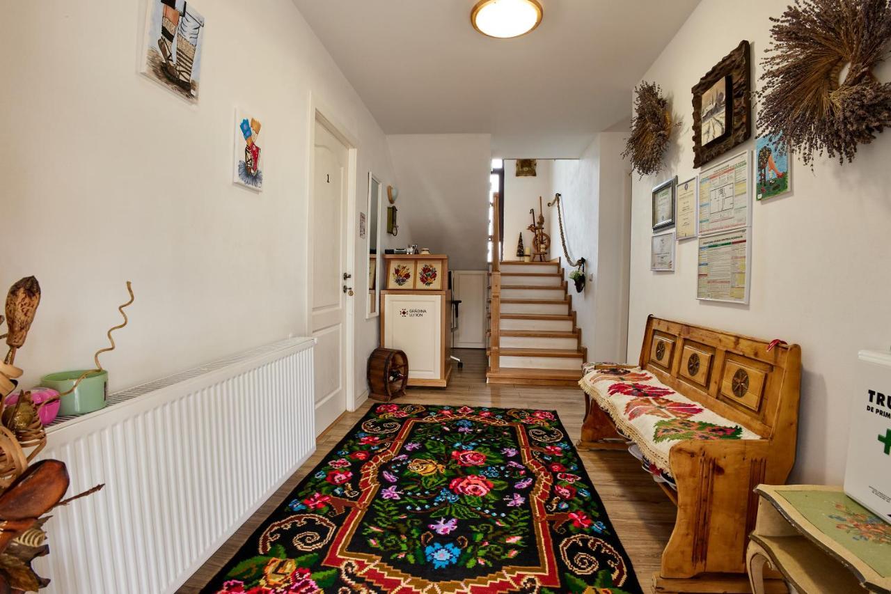 Gradina Lu' Ion "A Home Away From Home" (Adults Only) Vişeu de Sus エクステリア 写真