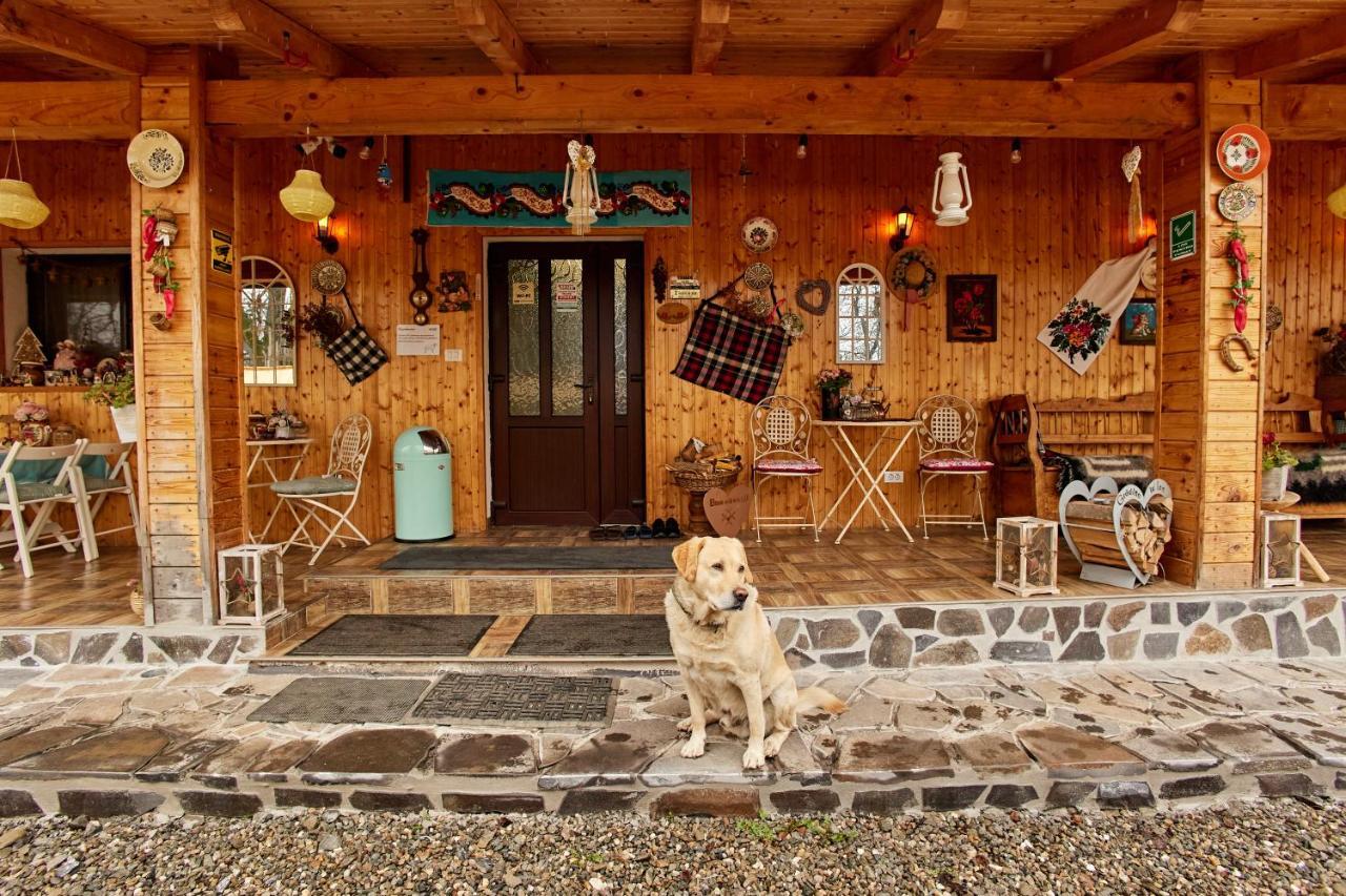Gradina Lu' Ion "A Home Away From Home" (Adults Only) Vişeu de Sus エクステリア 写真