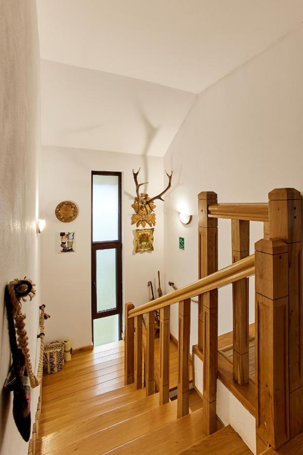 Gradina Lu' Ion "A Home Away From Home" (Adults Only) Vişeu de Sus エクステリア 写真