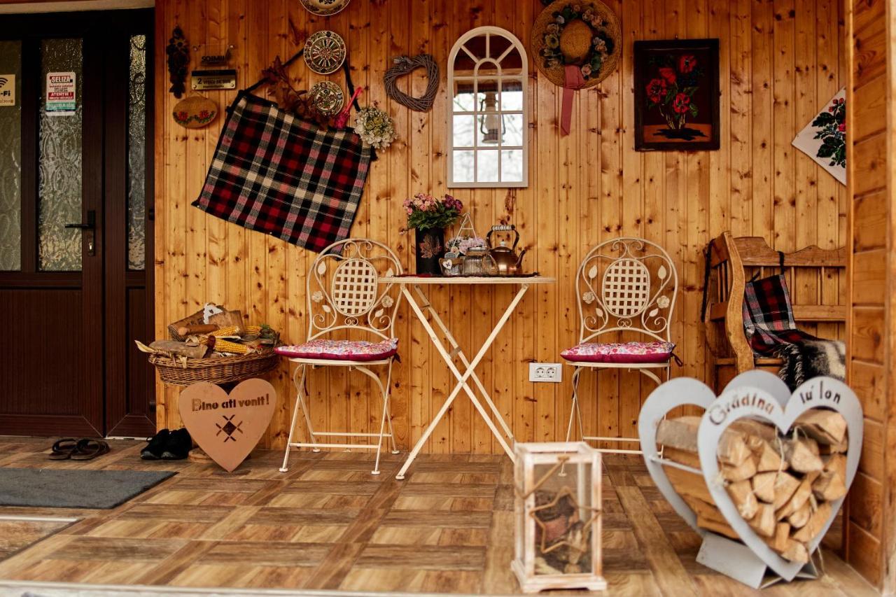 Gradina Lu' Ion "A Home Away From Home" (Adults Only) Vişeu de Sus エクステリア 写真