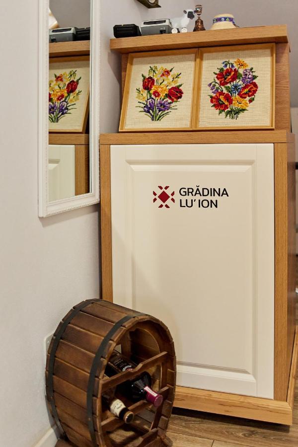 Gradina Lu' Ion "A Home Away From Home" (Adults Only) Vişeu de Sus エクステリア 写真