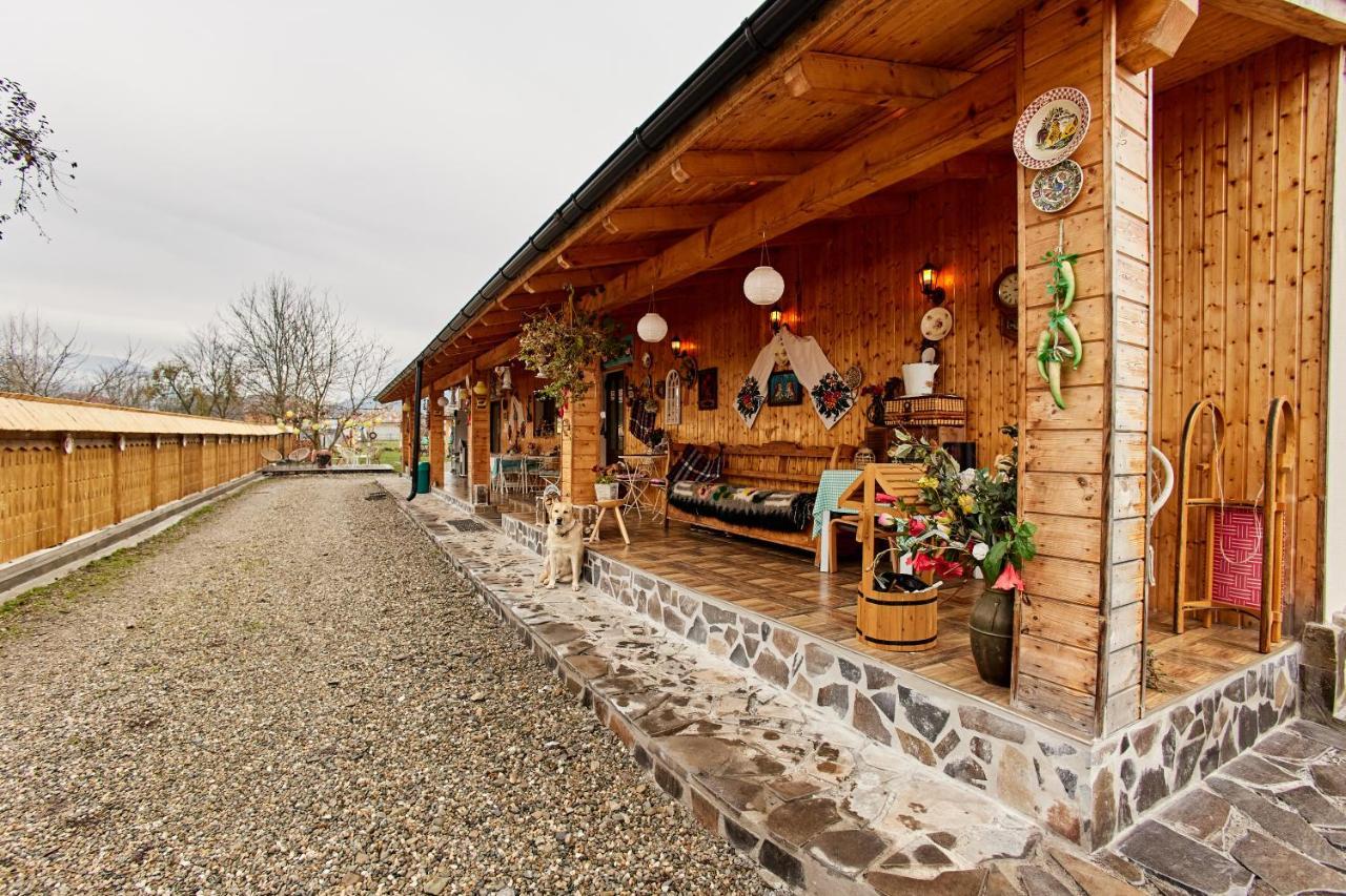 Gradina Lu' Ion "A Home Away From Home" (Adults Only) Vişeu de Sus エクステリア 写真