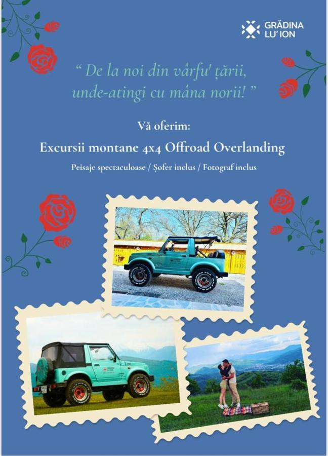 Gradina Lu' Ion "A Home Away From Home" (Adults Only) Vişeu de Sus エクステリア 写真
